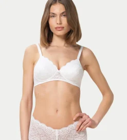 Triumph AMOURETTE 300