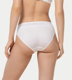 Triumph AZALEA FLORALE