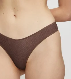 Triumph HARMONY SPOTLIGHT