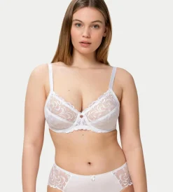 Triumph MODERN FINESSE