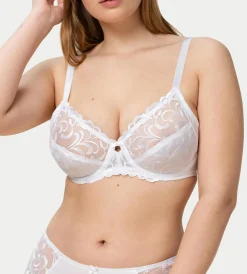 Triumph MODERN FINESSE