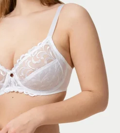 Triumph MODERN FINESSE