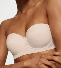 Triumph VIVID SPOTLIGHT